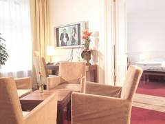 Zimmerbild 8