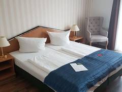 Zimmerbild 8