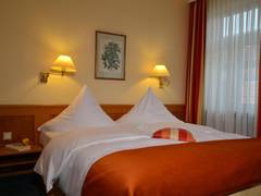 Zimmerbild 6
