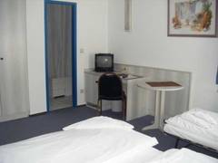 Zimmerbild 12