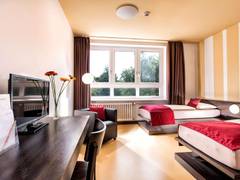 Zimmerbild 17