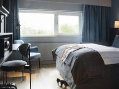 Zimmerbild 19