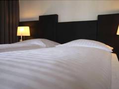 Zimmerbild 6
