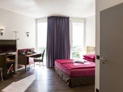 Zimmerbild 7