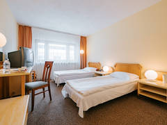 Zimmerbild 9
