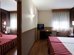 Zimmerbild 6