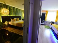 Zimmerbild 11