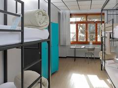 Zimmerbild 8