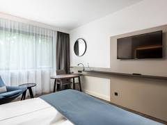 Zimmerbild 6