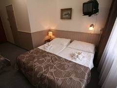 Zimmerbild 9