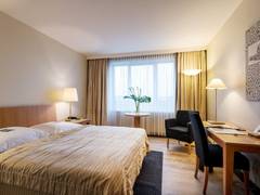 Zimmerbild 9
