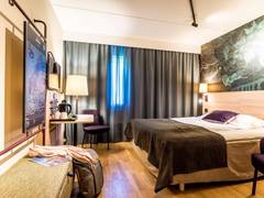 Zimmerbild 9