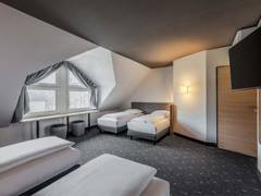 Zimmerbild 44
