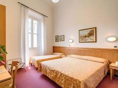 Zimmerbild 11