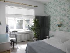 Zimmerbild 5