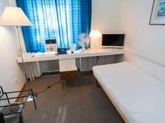 Zimmerbild 10