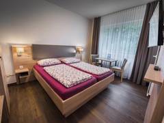 Zimmerbild 1