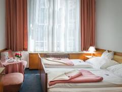 Zimmerbild 6