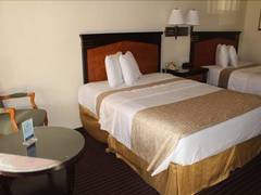 Zimmerbild 12