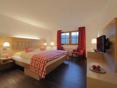 Zimmerbild 14