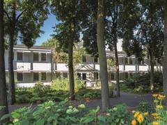 Zimmerbild 8