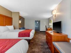 Zimmerbild 17