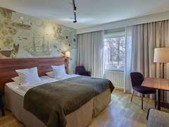 Zimmerbild 6