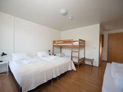 Zimmerbild 4