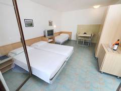 Zimmerbild 6