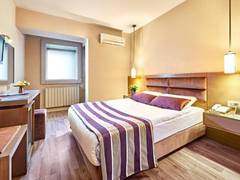 Zimmerbild 3