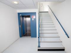 Zimmerbild 4