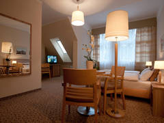 Zimmerbild 8