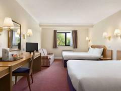 Zimmerbild 7