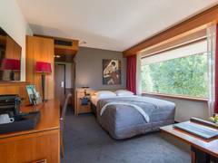 Zimmerbild 11