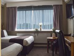 Zimmerbild 2