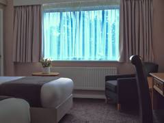 Zimmerbild 23