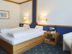 Zimmerbild 7