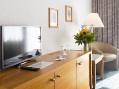Zimmerbild 8
