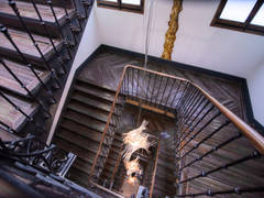 Zimmerbild 24