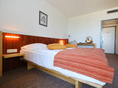 Zimmerbild 3