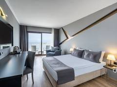 Zimmerbild 6