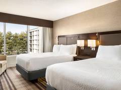 Zimmerbild 2