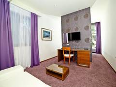 Zimmerbild 3