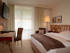 Zimmerbild 13