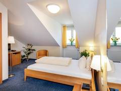 Zimmerbild 10