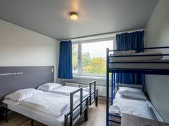 Zimmerbild 7