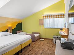 Zimmerbild 11