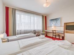 Zimmerbild 8