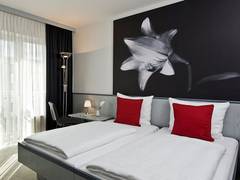 Zimmerbild 6