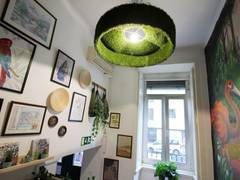Zimmerbild 15